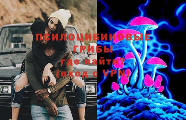 эйфоретик Арсеньев