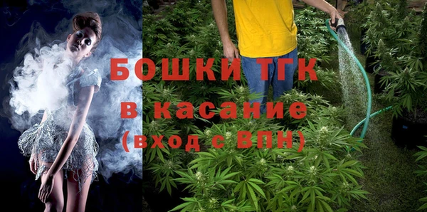 эйфоретик Арсеньев